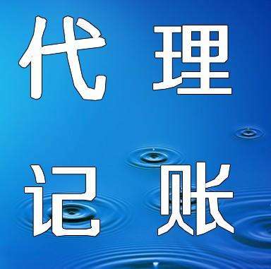 专业代理记账,纳税申报,办理电子口岸