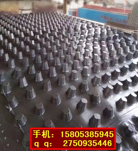 天津4公分蓄排水板￥上海车库绿化排水板15805385945