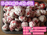 培训糖炒山楂做法去哪 湖北糖炒板栗做法去哪学习;