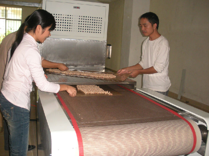微波花生米干燥设备