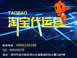 保定比较专业的淘宝代运营公司是哪家;