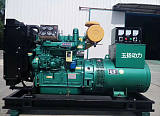 贵州柴油发电机组 钝铜柴油发电机组直销 50kw千瓦小型发电机组;