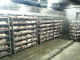 供应肉类解冻机|肉类解冻设备|猪牛羊鸡肉解冻机;