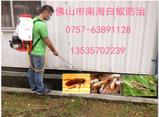 桂城杀虫公司专业上门灭老鼠灭蟑螂灭白蚁灭跳蚤
