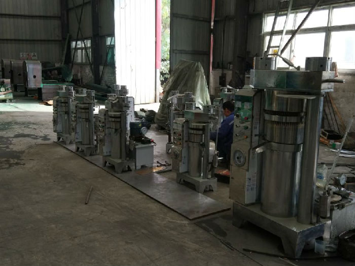 全自动立式液压榨油机 大型商用液压压榨机 韩式液压榨油机