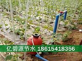 临夏蔬菜膜下滴灌水肥一体化方案;