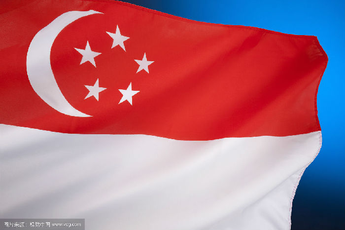 新加坡食品清关公司各大零食出口新加坡国际海运公司