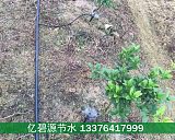 大田果树滴灌灌溉安装技术