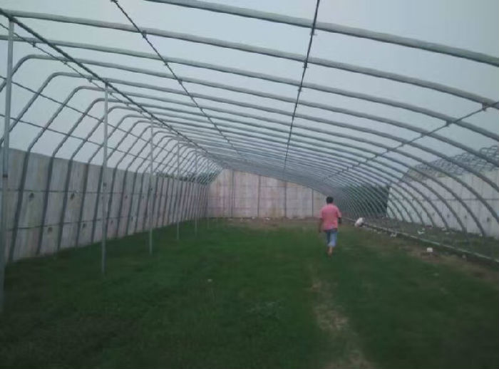 新旺兴农专业建设种植养殖大棚