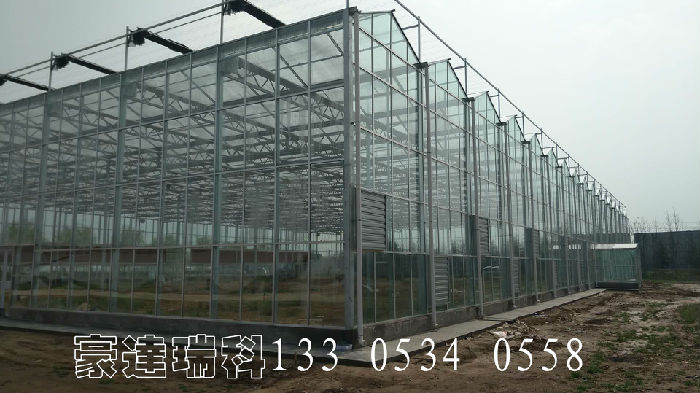 西安玻璃温室建设，陕西智能连栋温室