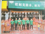 惠州市DIY防水补漏*-博罗外墙油漆翻新清洁清洗公司;