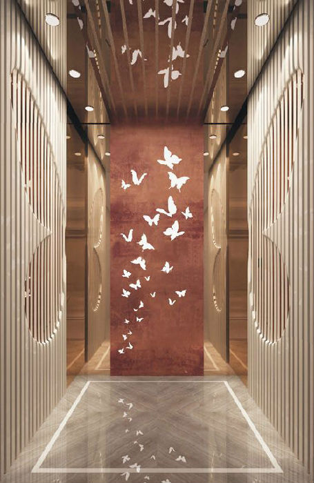 泉州私人别墅酒店电梯设计装潢效果图加工生产