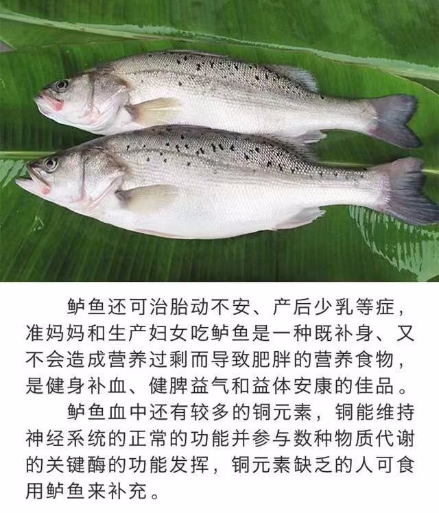 和平县批发各种农副水产品