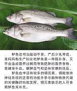 和平县批发各种农副水产品;