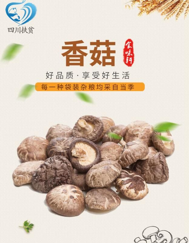四川食味轩生态椴木香菇