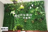 广州仿真植物墙绿植墙面装饰背景墙假草坪塑料垂直绿化苔藓人造草皮;