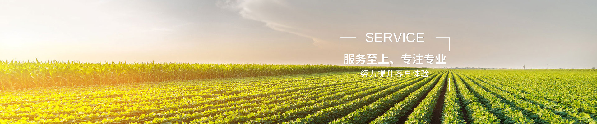 苏州无声为您信息咨询有限公司公司介绍