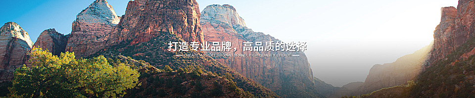 成都超音电器有限公司公司介绍