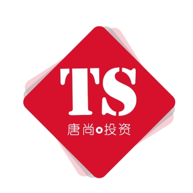 上海隋秦科技集團(tuán)有限公司LOGO