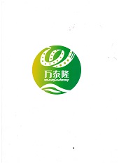 武汉万泰隆新型材料有限公司LOGO