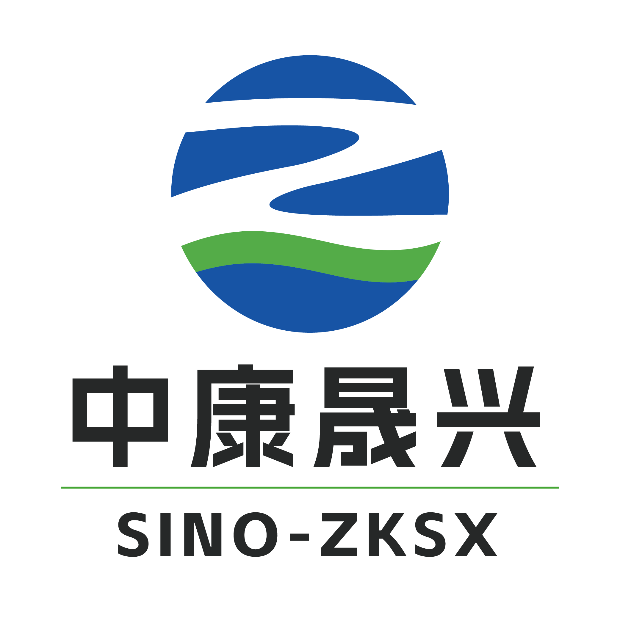 中康晟兴大健康产业有限公司LOGO