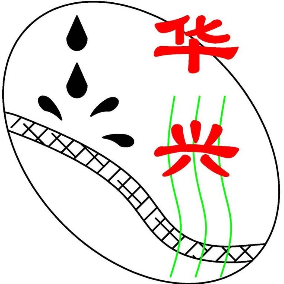 惠州市華興科技有限公司LOGO