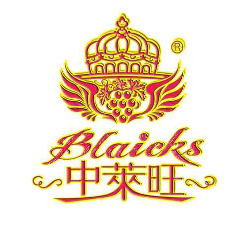 中萊旺國際科技（廣東)有限公司LOGO