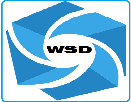 武漢微圣達電力科技有限公司LOGO