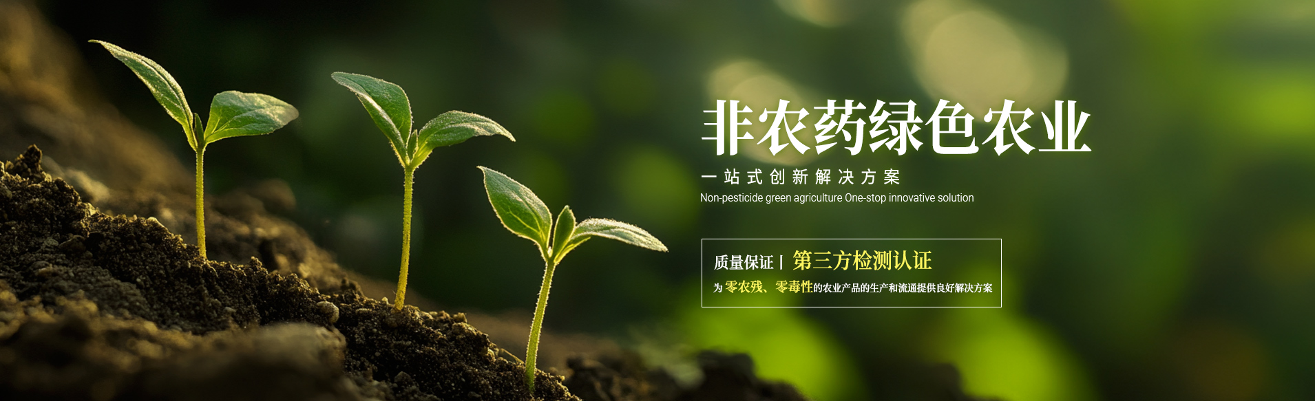 廣州市栢盛新材料科技有限公司公司介紹