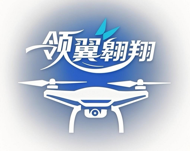 領(lǐng)翼翱翔（上海）科技有限公司LOGO