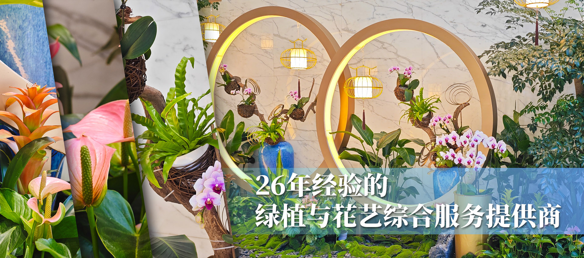廣州麗芳園林生態(tài)科技股份有限公司公司介紹