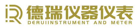 山東德瑞儀器儀表有限公司LOGO