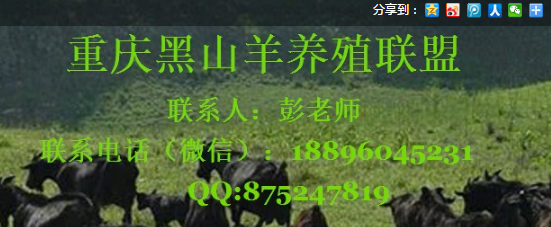 重庆市丰都县双龙镇林增加黑山羊养殖场