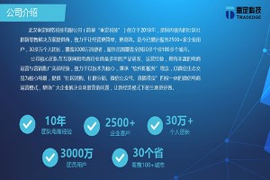 武汉垂定科技网络有限公司