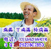 河北省丰收绿色有机肥有限公司LOGO;