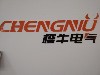 上海橙牛电气有限公司;