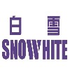 深圳市白雪投影显示技术有限公司;