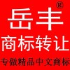 湖南岳丰知识产权代理有限公司;