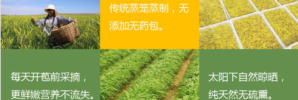 吳忠市太陽山陽光農產品專業合作社公司介紹